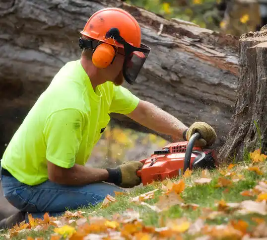 tree services North Walpole